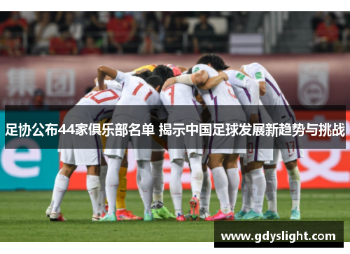 足协公布44家俱乐部名单 揭示中国足球发展新趋势与挑战